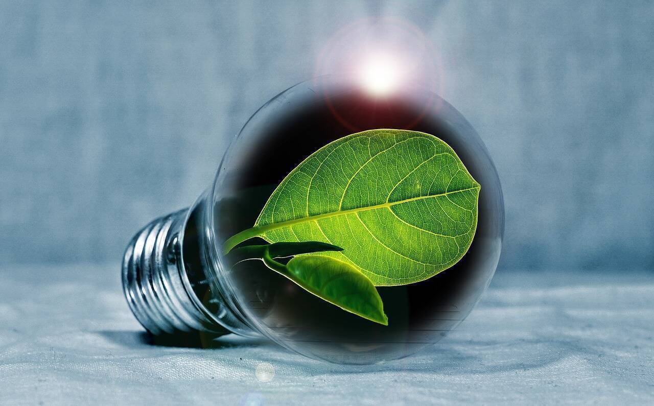 Energie verde (sursa: Pixabay)