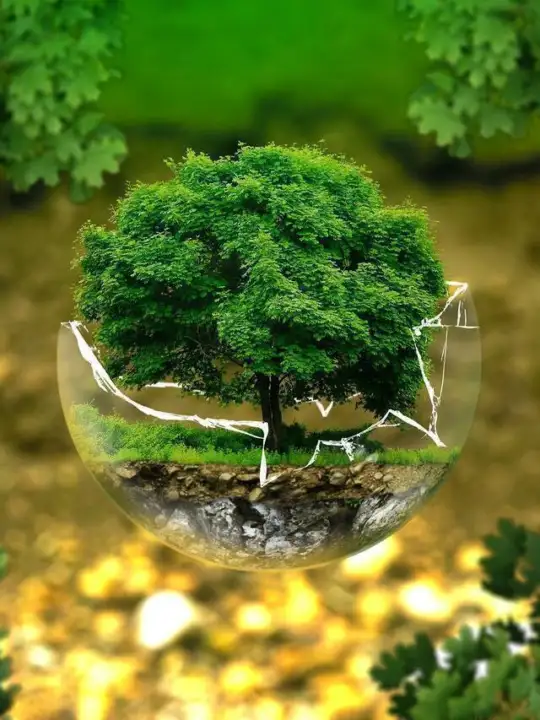 Protectia mediului, poluare - sursa: Pixabay