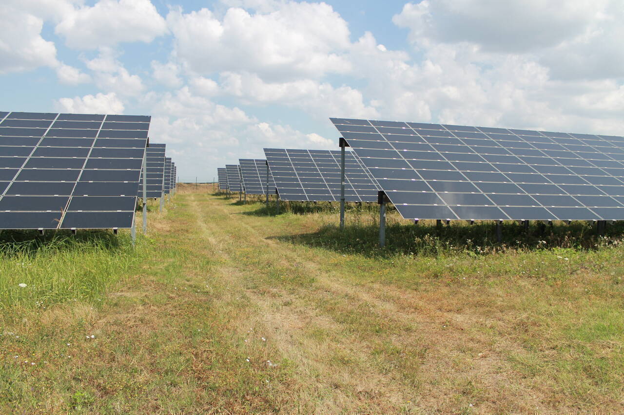 ENGIE Romania a mai achiziționat un parc fotovoltaic, ajungând la 113 MW capacitate de energie regenerabilă