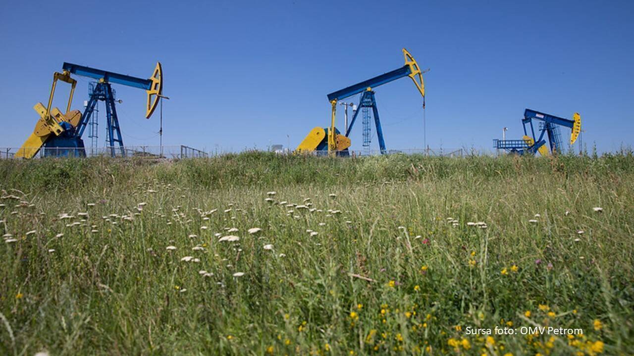 FPPG: Sectorul de petrol și gaze a plătit sume record la bugetul de stat, în 2022