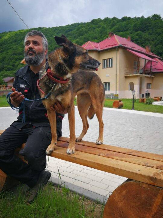 Câinele Zura, alături de Romică, voluntar în misiunea de salvare a României în Turcia, din februarie 2023 - foto: NewsEnergy