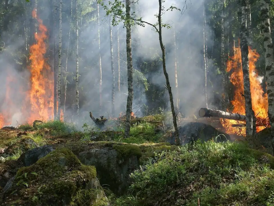 Incendii de padure, schimbari climatice, dezastre naturale - sursa foto: Pixabay