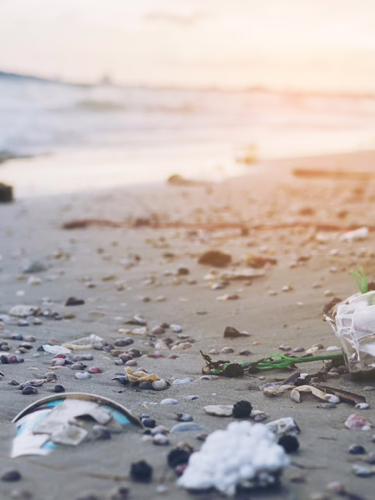 poluare, ocean, plaja, mediu - sursa foto: Freepik.com