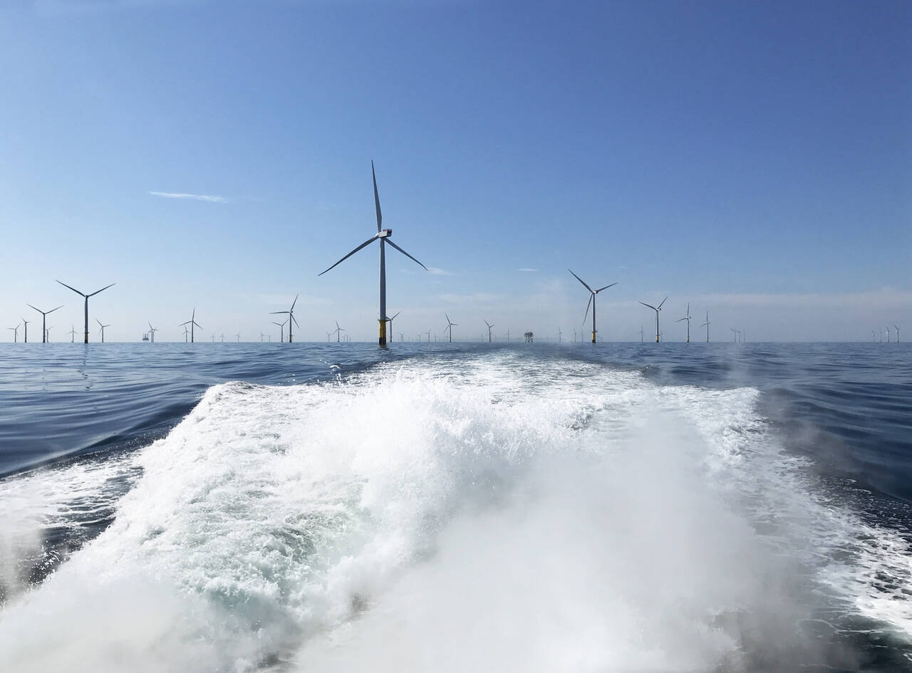 Model pentru o tranziție energetică de succes: cum a ajuns Danemarca lider în energia verde // REPORTAJ