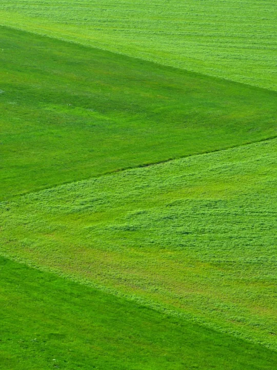 agricultura, biogaz - sursa foto: Pixabay