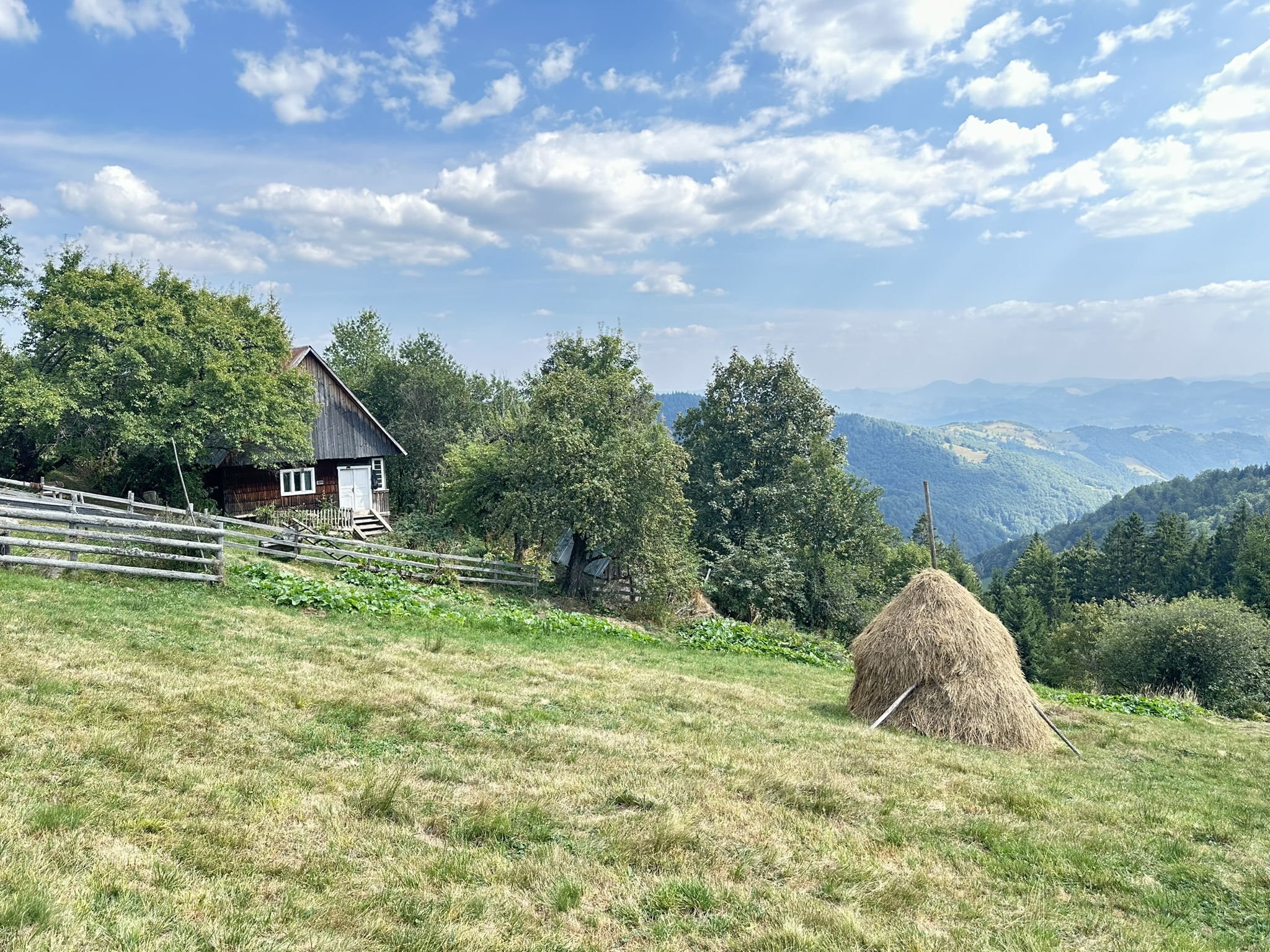 Electrificare gospodarii izolate din catunul Peste Valea Bistrii (2024) - foto: NewsEnergy