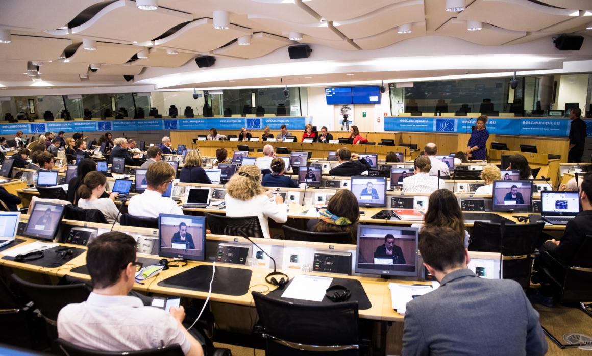 Anca Sinea, ORSE: Tranziția energetică, oportunitate strategică de transformare economică și socială a României