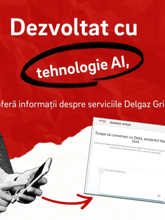 Delia - chatbot Delgaz Grid - sursa foto: https://www.facebook.com/delgaz.grid