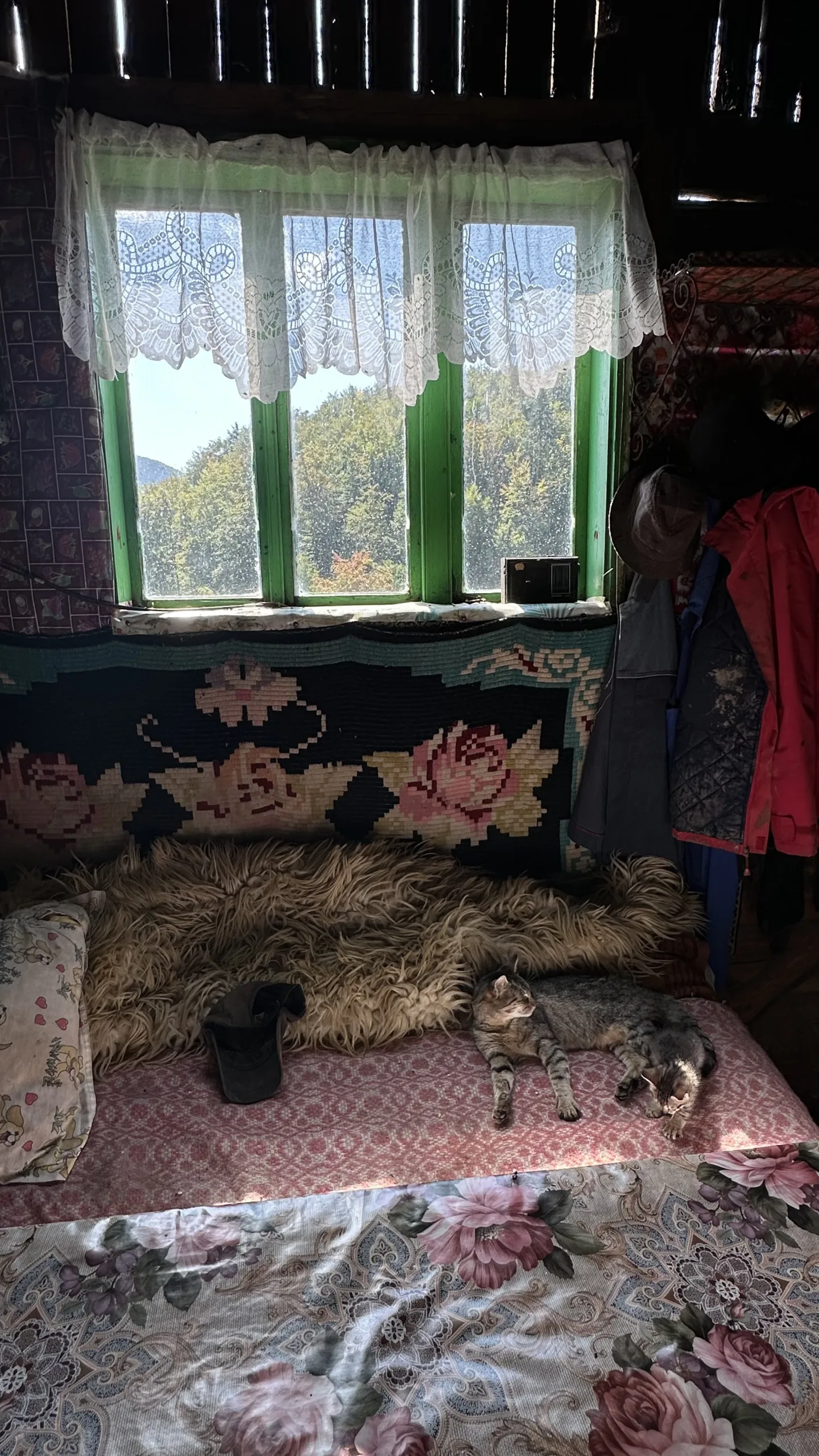Acasă la nea Gheorghe (71 ani), din cătunul Gura Mili, comuna Siriu, jud. Buzău - foto: NewsEnergy