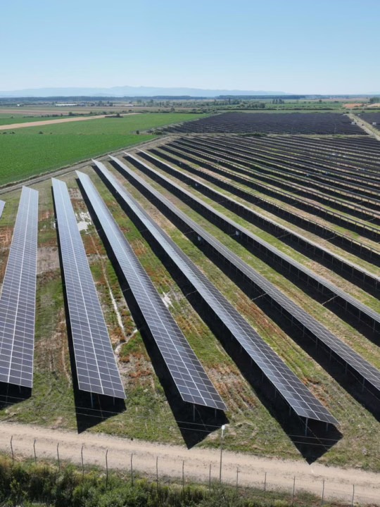 Foto: Parc Satu Mare - sursa: Electrica