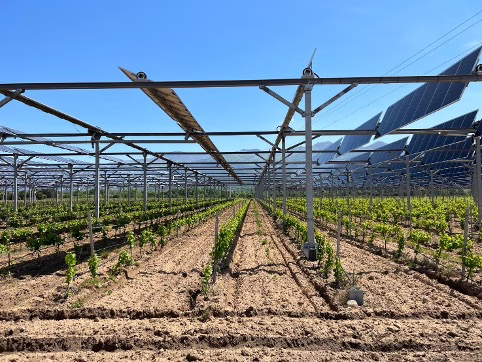 Agrivoltaice - Author: Jiri Bim, Technology: Next2sun, RWA, SunAgri